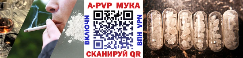 A-PVP СК  как найти   Обь 