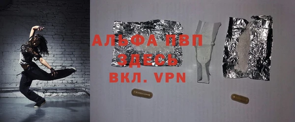 прущие грибы Белокуриха