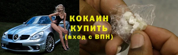 мдпв Снежинск