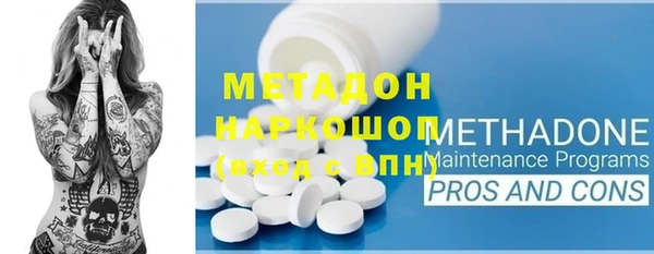 прущие грибы Белокуриха