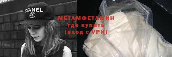 прущие грибы Белокуриха
