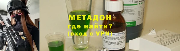 прущие грибы Белокуриха