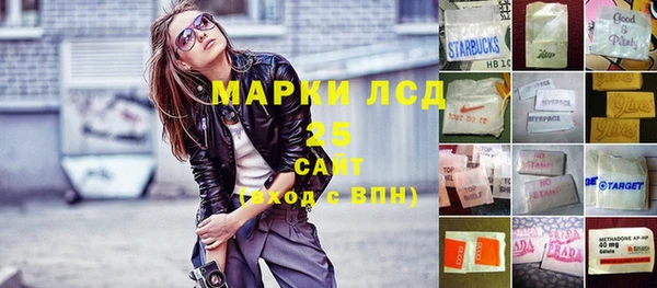 прущие грибы Белокуриха