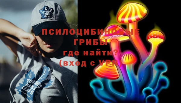 молекула духа Баксан