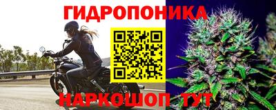 сатива Пушкино
