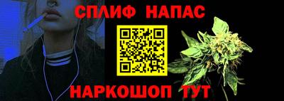 сатива Пушкино