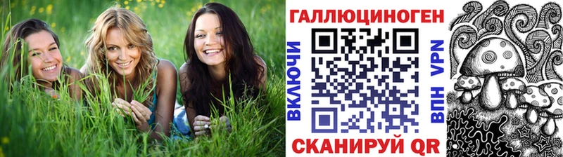 купить наркотики сайты  Обь  mega как зайти  Псилоцибиновые грибы Psilocybine cubensis 