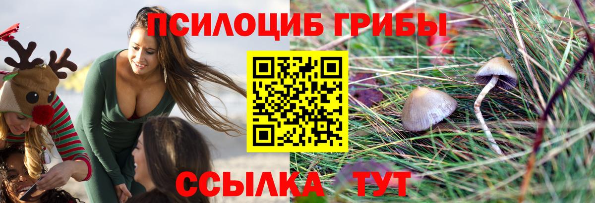 Обь  купить  цена  Вход с VPN  Галлюциногенные грибы Magic Shrooms 